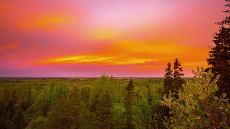 Zeitraffer:-Orangefarbener-Und-Violetter-Sonnenuntergang,-Der-Seinen-Glanz-über-Einen-Ruhigen-Nadelwald-Wirft