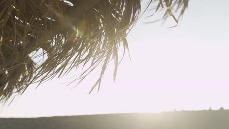 Desert sun hitting the dry palm tree canopy blowing in the hot wind