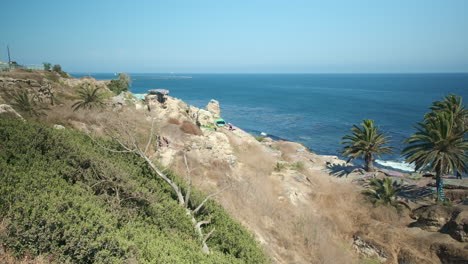 ocean view over rocky cliff on california coast, palm trees and blue pacific on sunny day