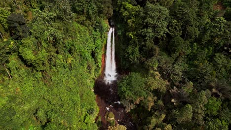 drone footage captures gitgit waterfall in bali on a sunny day, surrounded by lush tropical greenery. the cascading water flows through dense jungle, creating a serene and refreshing natural escape