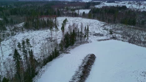 Awesome-aerial-view-of-the-forest-in-winter,-with-a-frozen-snowy-landscape-and-trees