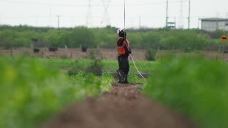 worker in a field of turbines of a wind energy farm, tamaulipas, mexico