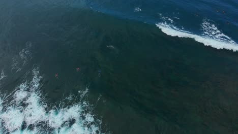 Un-Surfista-Montando-Una-Ola-Mientras-Otros-Esperan-En-Fila-En-La-Isla-Caribeña-De-Tobago