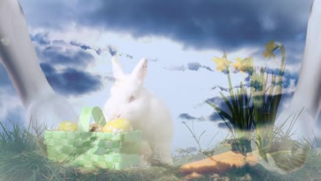 video compuesto de manos y conejo comiendo contra nubes en el cielo azul