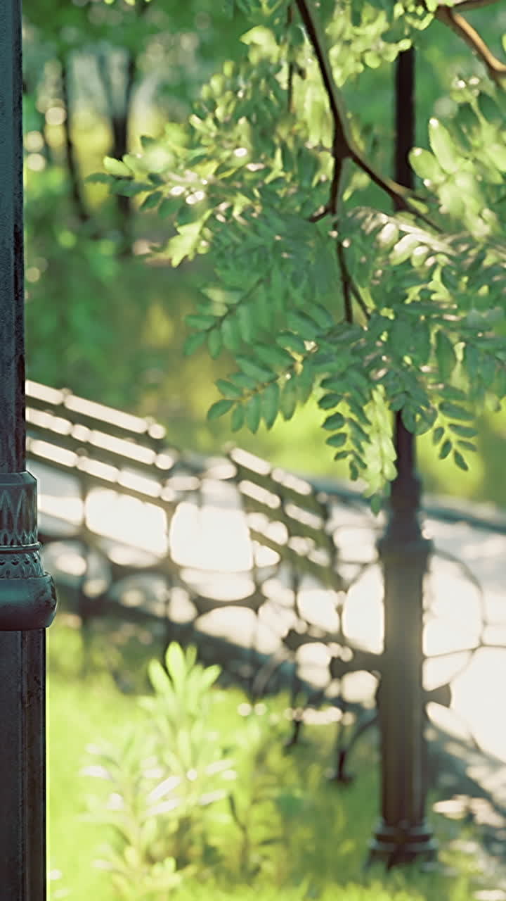 Serene pathways through a lush park under gentle sunlight in summer