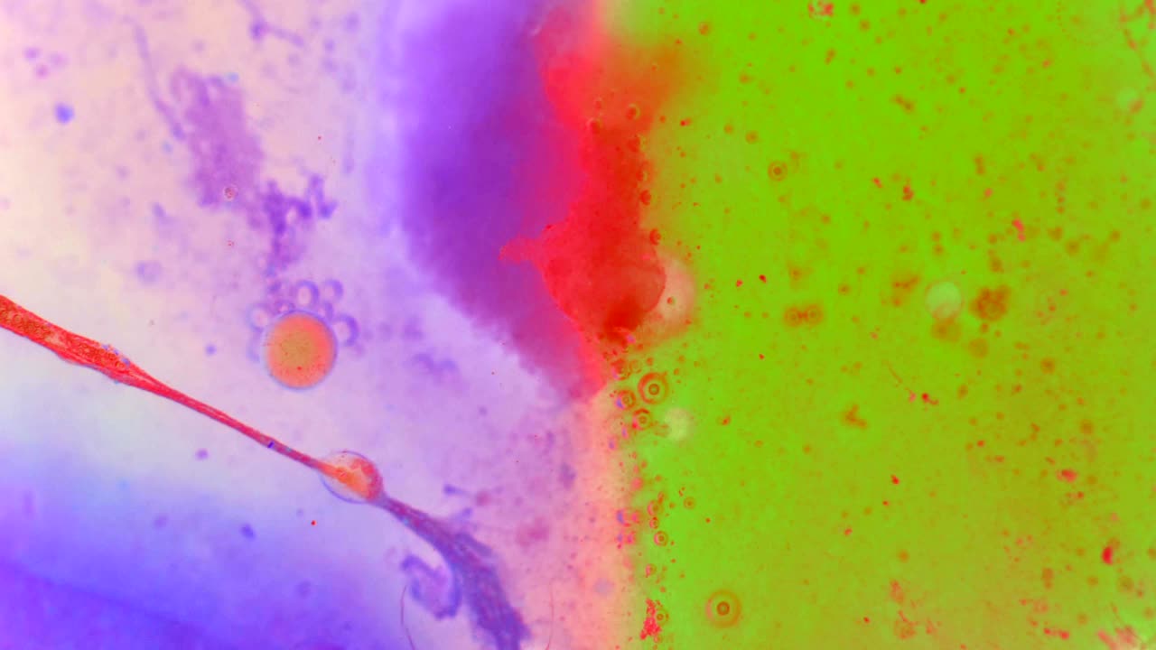 el rizado de las pinturas