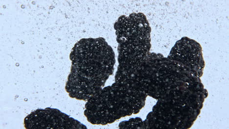 Bramble-rotating-carbonated-water-closeup.-Aqua-black-berries-spinning-slowly