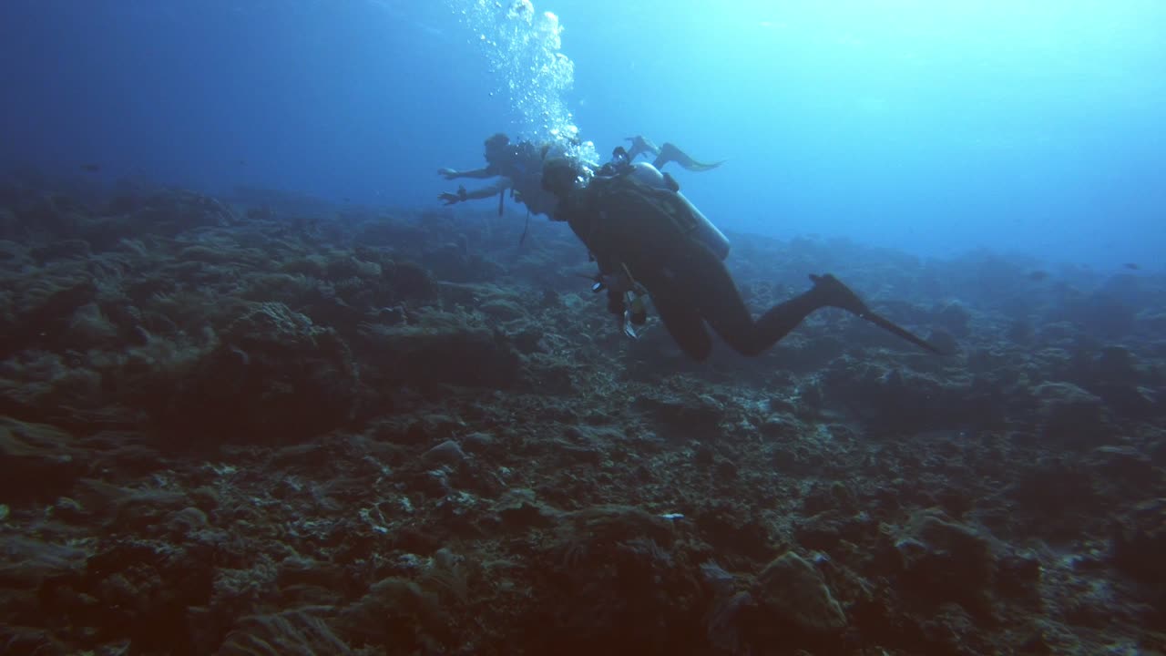 scuba divers in silhouette drifting fast above a coral reef
