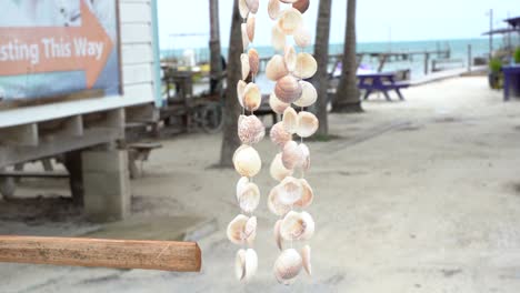 Selling-shells-on-the-beach-with-a-man-on-the-bicycle-in-the-background