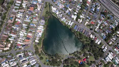 overhead view of cavemans lake and park surrounded by residential houses in qld, australia