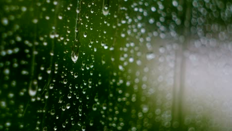 raindrops running down a window pane