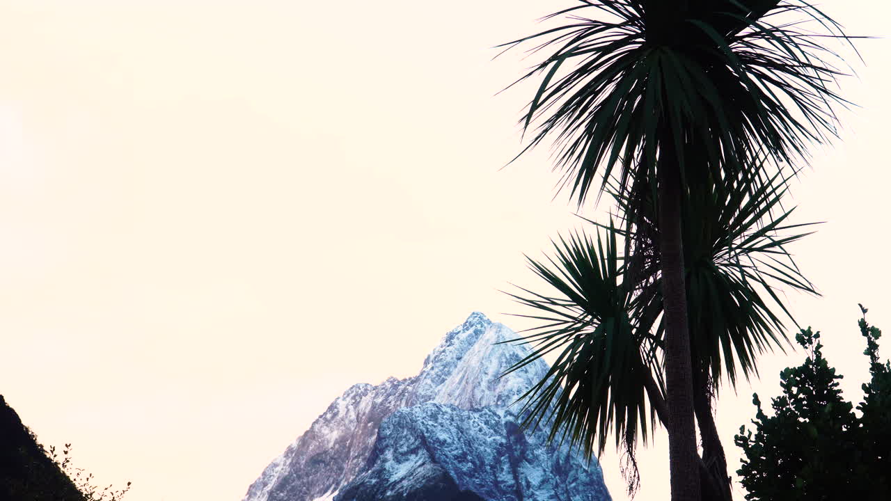 Silhouette of cabbage tree swaying in wind, Mount Pembroke in background