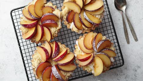 Homemade-crumble-tarts-with-fresh-plum-slices-placed-on-iron-baking-grill