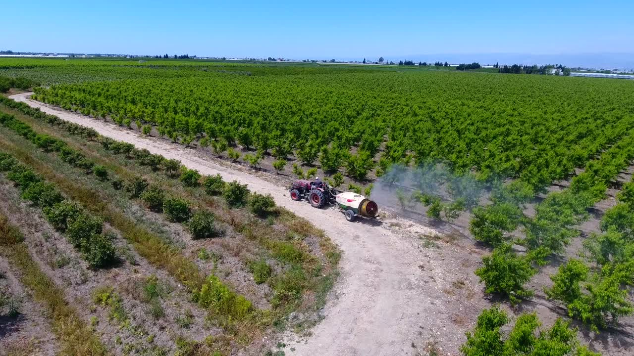 Tractor spraying trees in the orchard