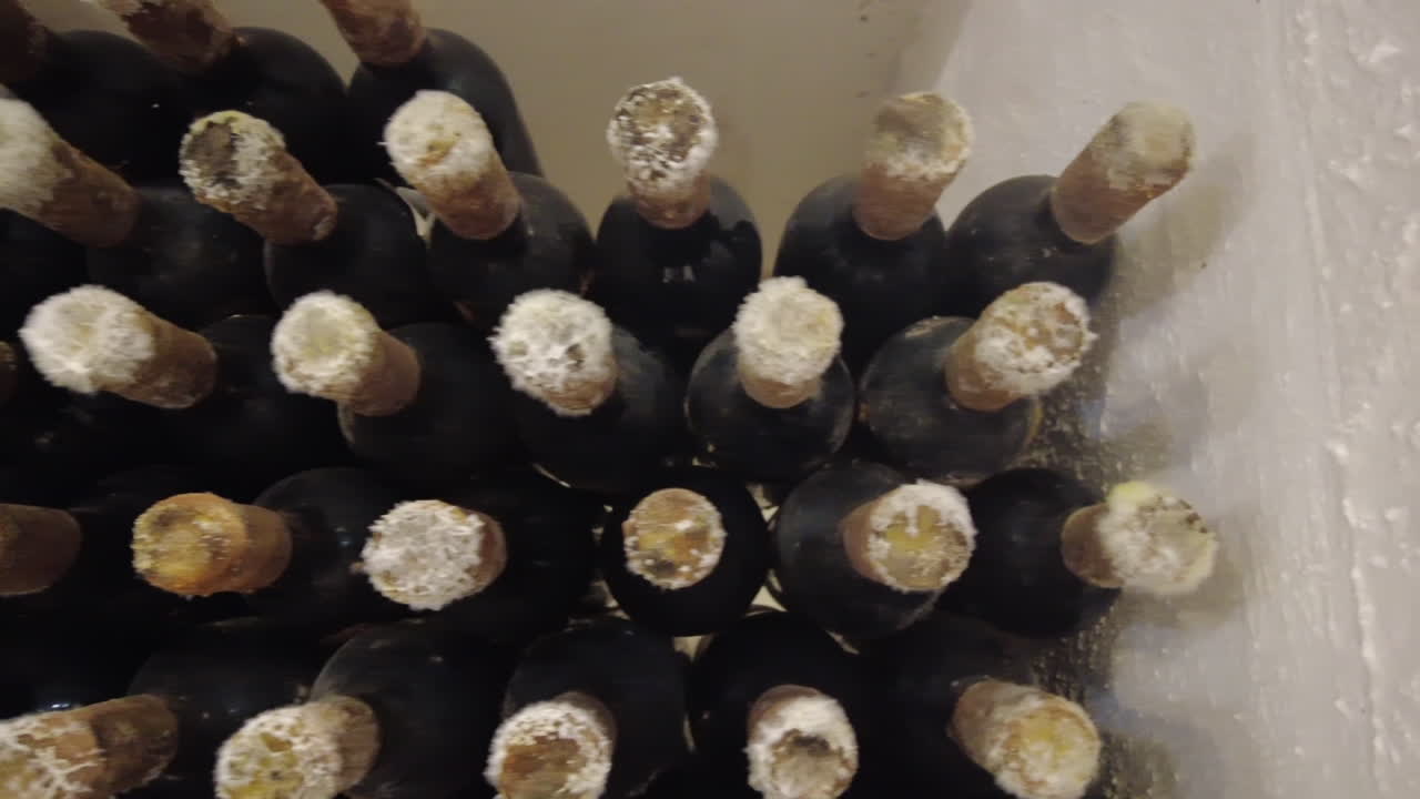 Wine bottles in a winery cellar