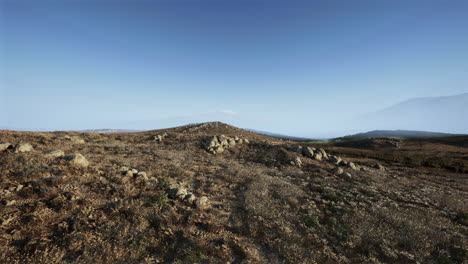 a beautiful landscape with a mountain in the distance