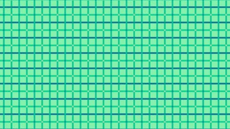 teal and black plaid pattern