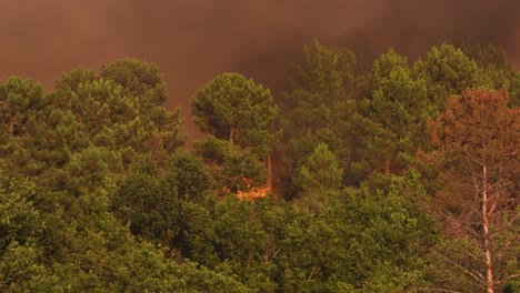 the wildfire of parada near ponte da barca in portugal starting