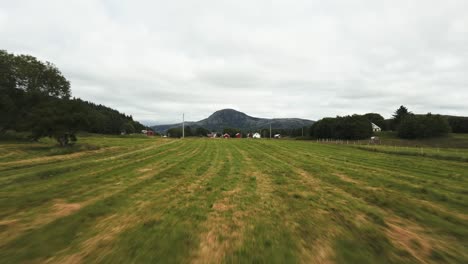 Flug-über-Eine-Grüne-Wiese-In-Richtung-Häuser