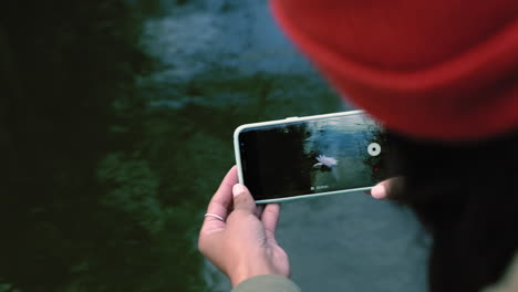 close up woman taking photo of flower using smartphone camera photographing natural beauty sharing on social media