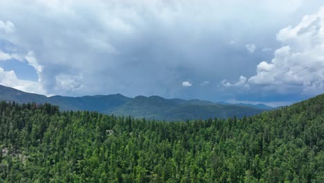 mountainous forest landscape under storm clouds
