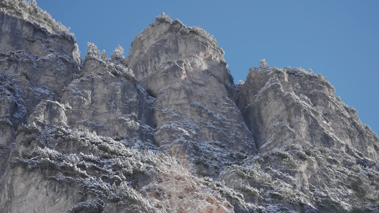 Rugged mountain ridgeline lined with frosted pine trees contrasts against a cloudless blue sky.