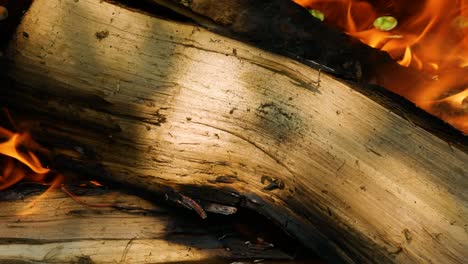 close-up of chopped firewood burning. fire on wood, burning chopped wood in a stone fireplace. bonfire of fire. burning orange flame on the wood