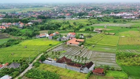 flooded-rice-fields-near-a-homestay-in-Canggu-Bali-on-cloudy-day,-aerial