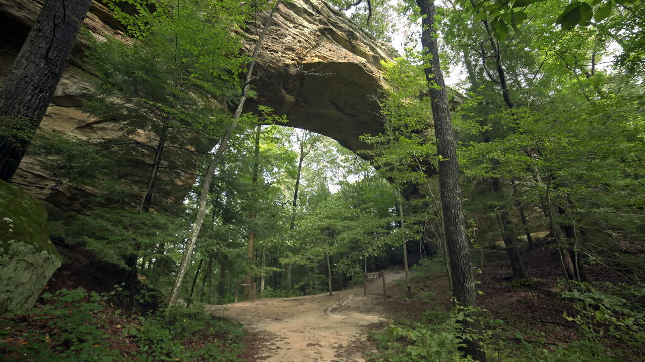 estática de un enorme arco de piedra natural en el bosque con árboles que soplan en la brisa, 4k