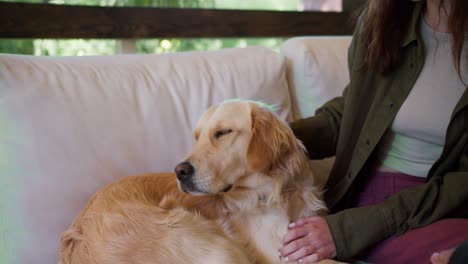 shooting close up: a couple of a guy and a girl are petting a large light-colored dog. leisure outdoors on the sofa in the gazebo