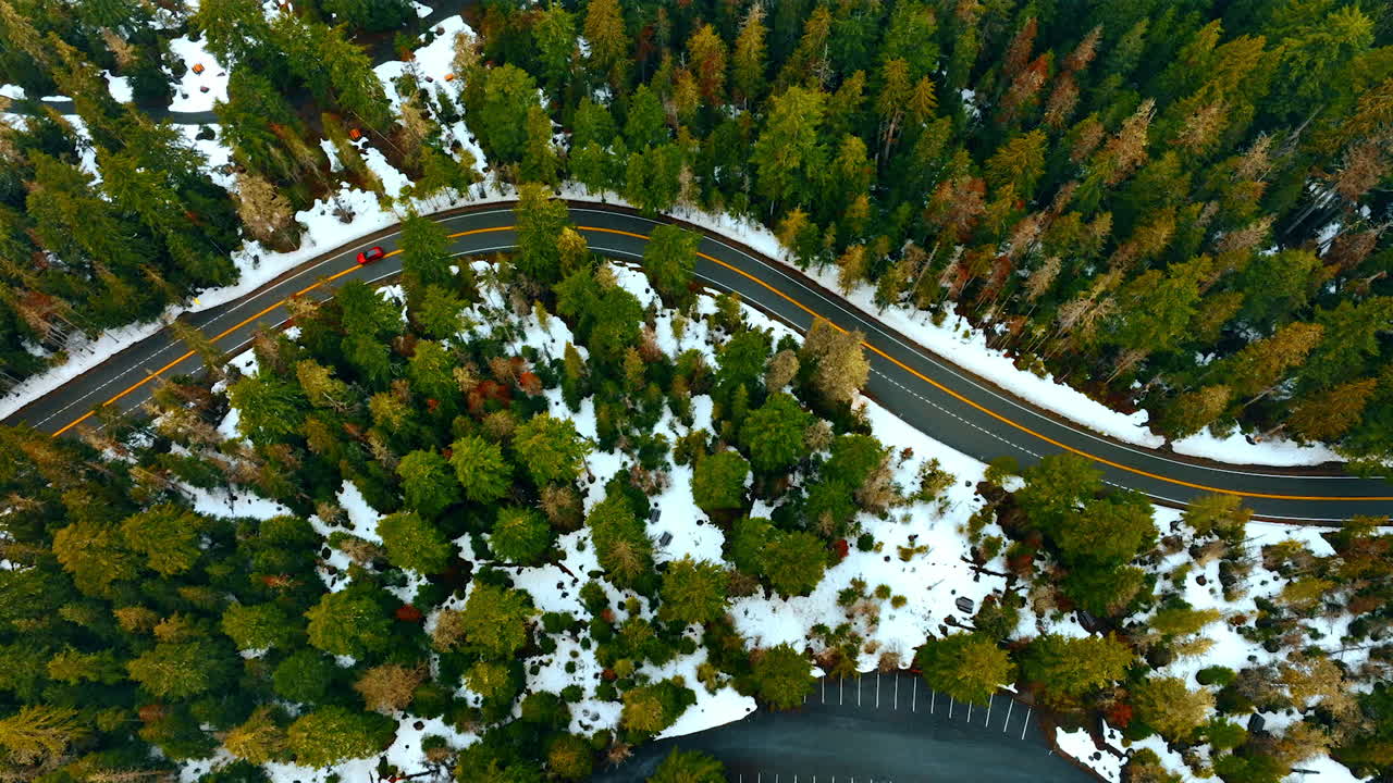Car ride through the pine tree woods in winter. Drone footage above the evergreen forest.