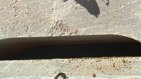 close-up view of a brick wall with a built-in drain
