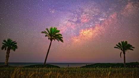 timelapse of milkyway and beach, palm trees