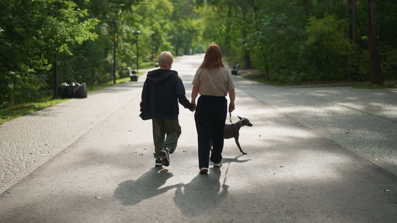 Sunlit Road Siblings Walking Playful Dog Hand In Hand, Long Shadows Stretching On Pavement, Upbeat Laughter And Light Mischief, Summer Greenery Framing Quiet Neighborhood, Joyful Everyday Connection