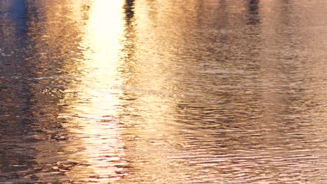 el atardecer de invierno se refleja en el agua del río