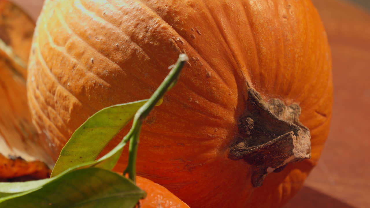 Primo piano di una zucca arancione con foglie verdi