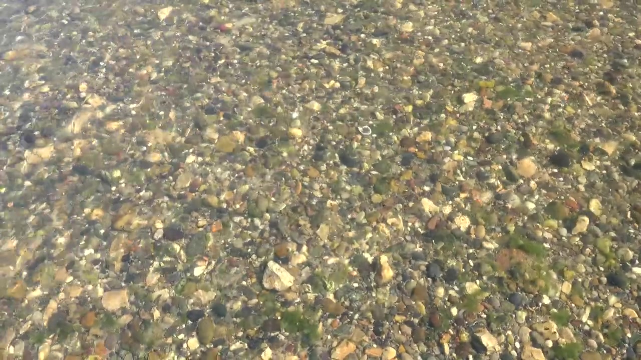 Clear Water Flowing Over Colorful Pebbles on a Riverbed