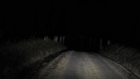 night drive through dark forest