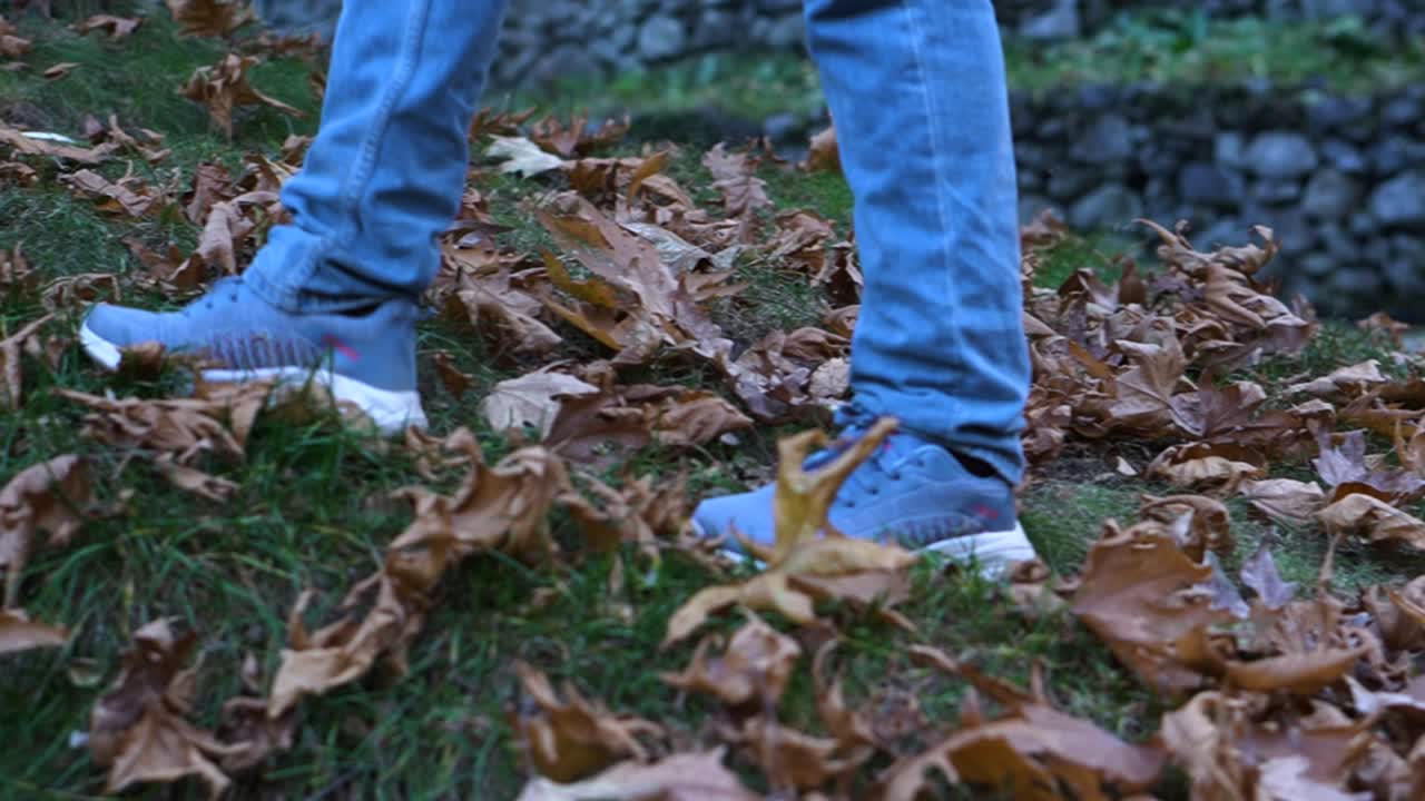 primo piano di camminare sulle foglie chinar nel parco e godersi il bellissimo autunno