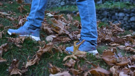 Nahaufnahme-Des-Gehens-Auf-Chinar-Blättern-Im-Park-Und-Genießen-Des-Schönen-Herbstes