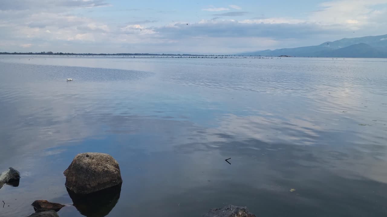 View of Kerkini Reservoir in northern Greece on a cold spring day, with migratory birds visible in the distance, reflecting the tranquil landscape and cloudy sky