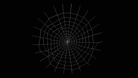 spider web animation with alpha channel