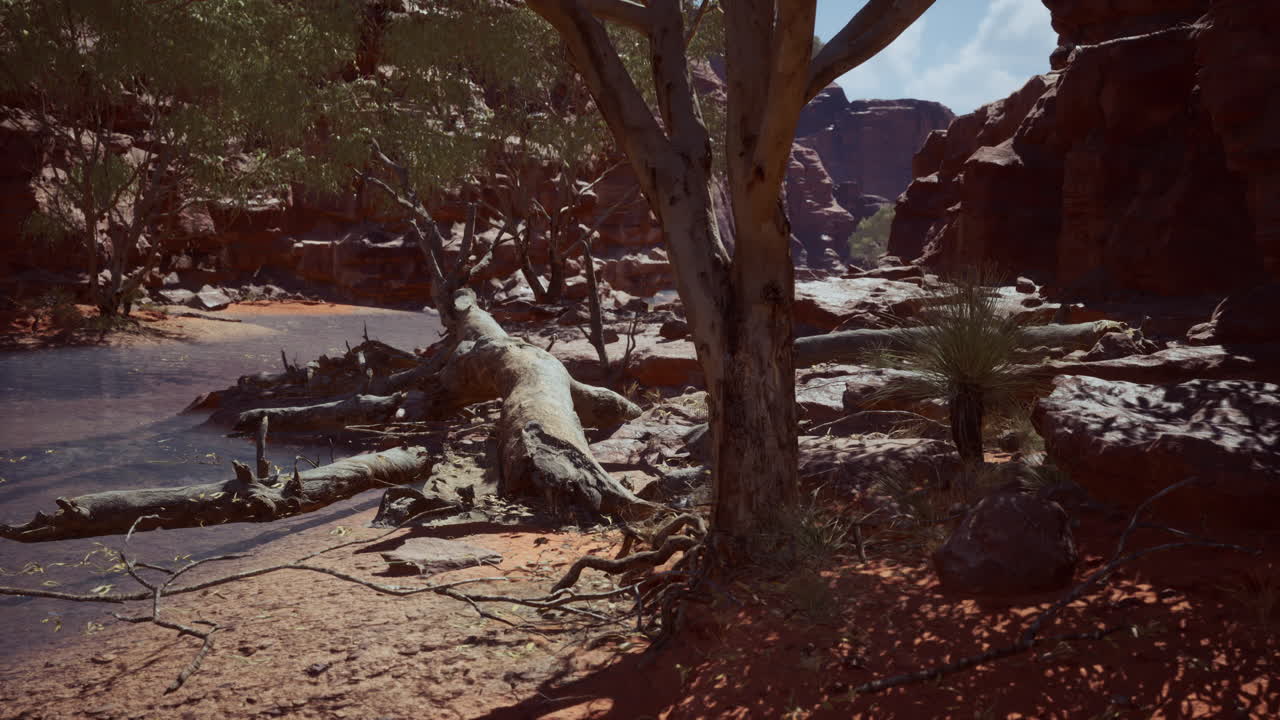 árboles cerca del río colorado en el gran cañón