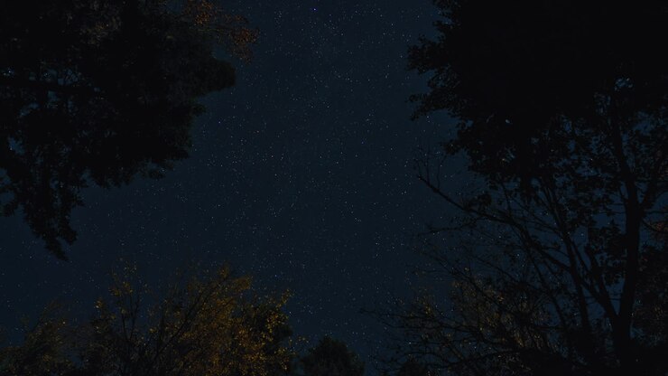 Timelapse del cielo autunnale che passa dal giorno alla notte con Via Lattea e chiaro di luna a Mauricie, Quebec, Canada. Le stelle illuminano il tranquillo paesaggio boschivo