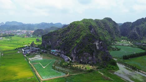 drone zoom in over green limestone peaks and vivid rice terraces in ninh binh under cloudy sky