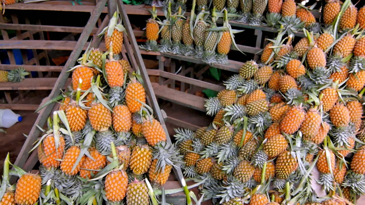 a Bright ripe pineapples neatly stacked on wooden racks in a tropical open-air fruit stall