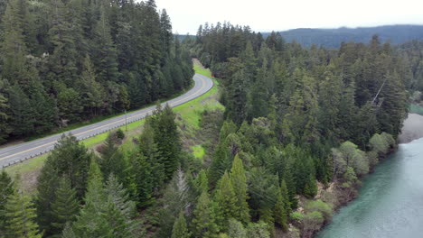 Avenues-of-the-Giants,-mad-River,-Redwood-forest