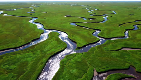 aerial view of winding rivers and channels through a green marsh