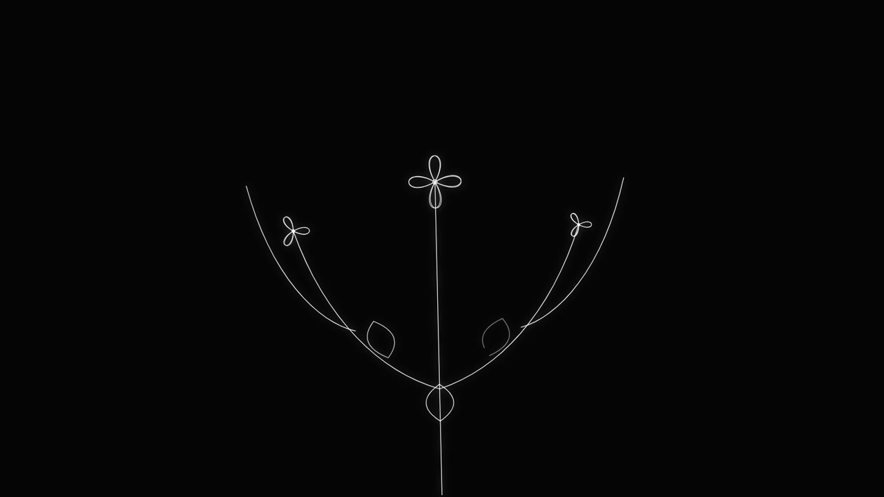 Minimalist Line Art Animation of a Growing Plant