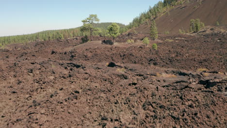 disparo bajo sobre flujos de lava seca áspera